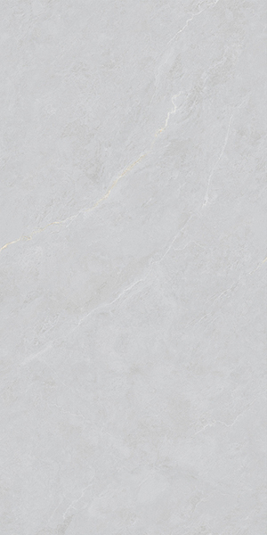 Керамогранит Cateye Light Grey grains soft-polished mould (BHW-0023) 60x120x10 от Basconi Home (Китай)