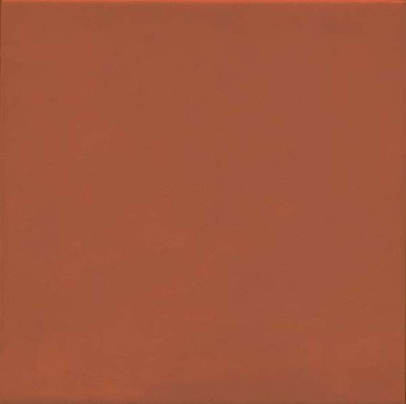 Напольная плитка 1900 Rojizo 20x20 от Vives Ceramica (Испания)