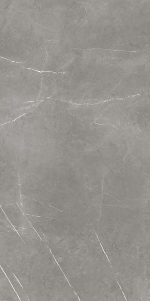 Керамогранит Forte Dei Marmi Elegant Grey Honed Satin (610015000657) 60x120 от Atlas Concorde (Россия)