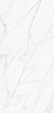 Керамогранит VARENNA CARRARA PUL. (6mm) (полированная) 120x260 от TAU Ceramica (Испания)