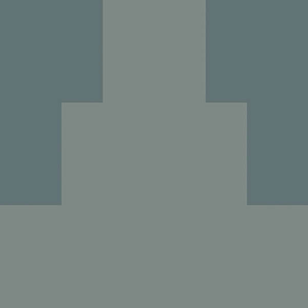 Керамогранит ITALIAN LANDSCAPE SIENA_C (ILSI20C) 20.5x20.5 от Fioranese Ceramica (Италия)