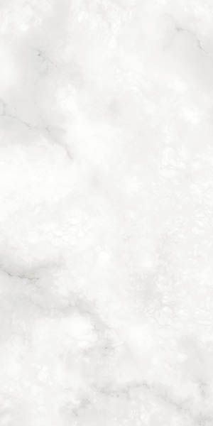 Керамогранит Sifo Blanco R 119 59.3x119.3 от Vives Ceramica (Испания)