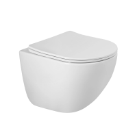 САНИТАРНАЯ КЕРАМИКА BelBagno AMANDA-TOR Унитаз подвесной безободковый  со смывом ˮТорнадоˮ, с сиденьем дюропласт soft close, BB051CH-TOR-FC/SC
