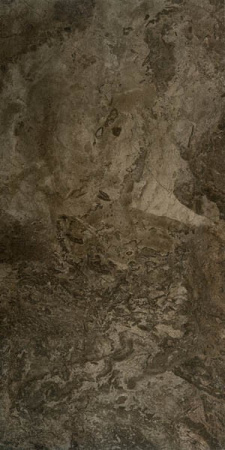 Керамогранит FOSSIL BROWN LAPPATO 60x120 от Seranit (Турция)