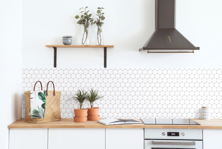 Disk 6*48*48 300*264,5