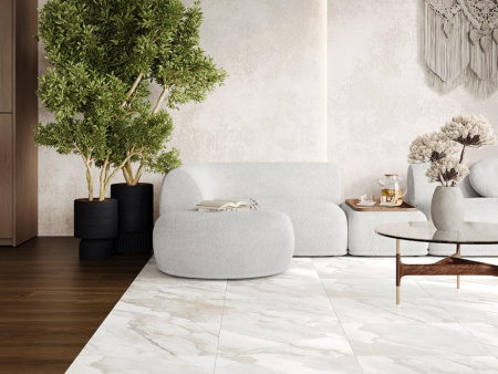 Керамогранит Alpi белый матовый 50x50 от Ceradim (Индия)