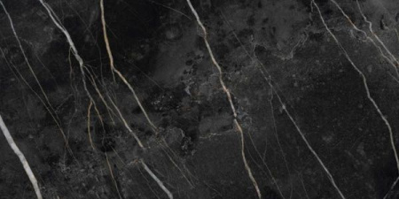 Керамогранит Nuit Gloss 49.1x98.2 от Ceracasa (Испания)