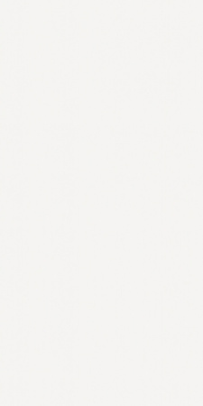 Настенная плитка Neve Satin Rect. 60x120 от Baldocer (Испания)