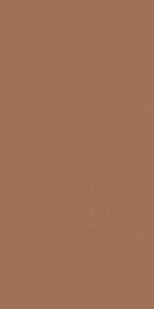 Настенная плитка MONTMARTRE TERRE Rect 60x120 от Baldocer (Испания)