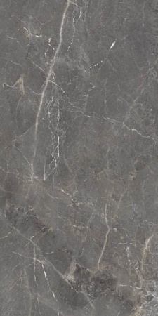 Керамогранит Tulip Grey 60x120 от Ocean Ceramic (Индия)