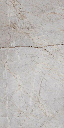 Керамогранит Silver Root Полированный 60x120 от Laparet