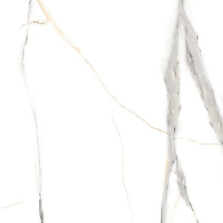 Керамогранит STATUARIO ROCK glossy (ETMAR1219GL6060) 60x60 от Eternal (Индия)