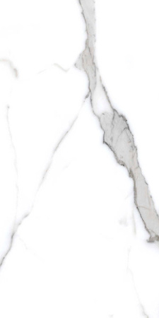 Керамогранит Salvatore Polished (PR207) 60x120 от Primavera (Индия)