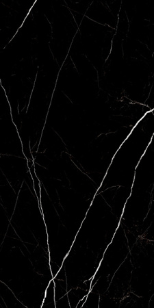 Керамогранит Twinstone Black суперполированный (60120TWN99HG) 60x120 от LCM (Индия)