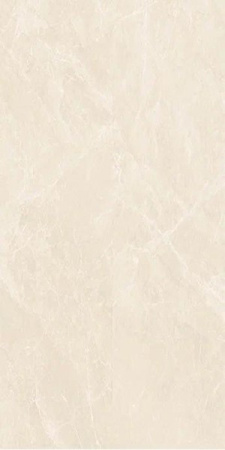 Керамогранит MARBLES CBP05648M (G011316) 60x120 от Monalisa (Китай)