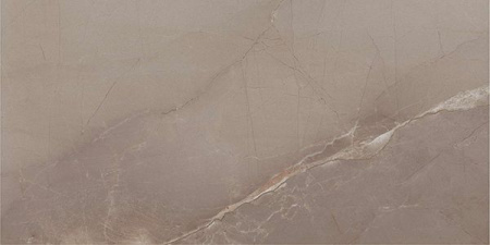 Керамогранит Passion Lux 90 Taupe 45x90 от Azteca (Испания)