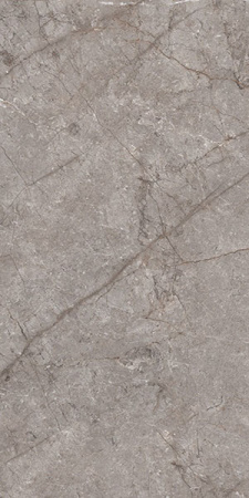 Керамогранит Alabaster Neo 80x160 от Ocean Ceramic (Индия)