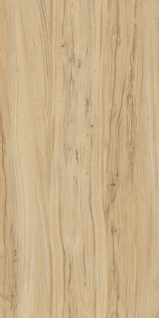 Керамогранит K-2101/SR 60x120x10 от Kerranova (Россия)