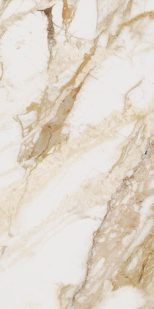 Керамогранит Loyal 60x120 от Ocean Ceramic (Индия)