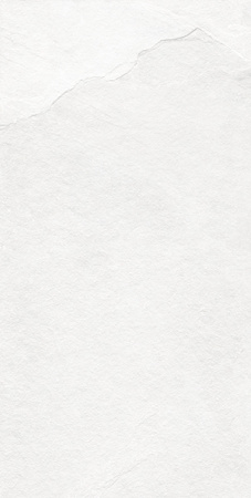 Керамогранит EC.Southrim white 60x120 от Ecoceramic (Испания)