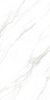 Керамогранит CARRARA PEARL matt (ETMAR1218MT60120) 60x120 от Eternal (Индия)