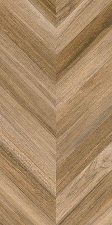 Керамогранит Agadir-R Noca 60x120 от Vives Ceramica (Испания)