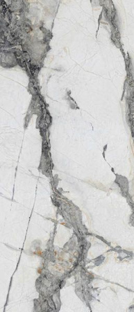 Керамогранит Titanium Renoir Polished (N20416) 120x278 от Neodom (Индия)