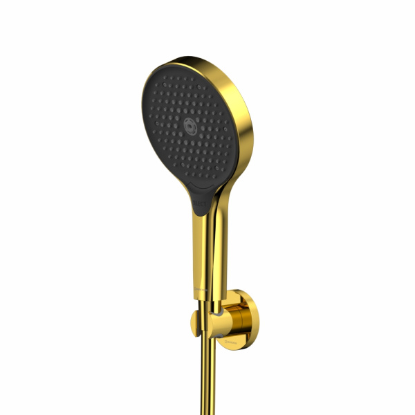 Душевой гарнитур точечный WHITECROSS SET50TOPGL (золото)