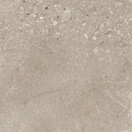 Керамогранит Harley бежевый матовый 50x50 от Ceradim (Индия)