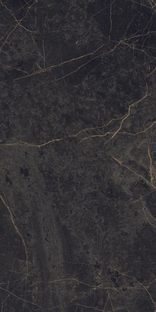 Керамогранит EPOQUE BLACK LAP (PF60004299) 60x120 от Ariana (Италия)