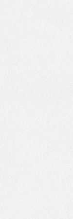 Керамогранит Oise-R Blanco 32x99 от Vives Ceramica (Испания)