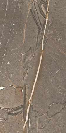 Керамогранит Amaranto Brown Rett 60x120 от Cercom Ceramiche (Италия)