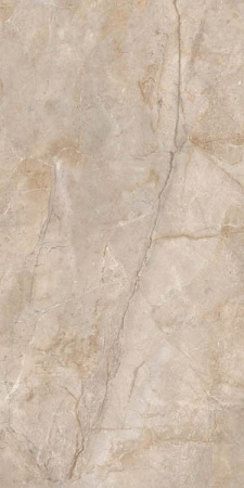 Керамогранит Monterial Taupe матовый 80x160 от Ocean Ceramic (Индия)