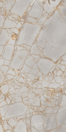 Керамогранит Golden Grey Polished (PR212) 60x120 от Primavera (Индия)