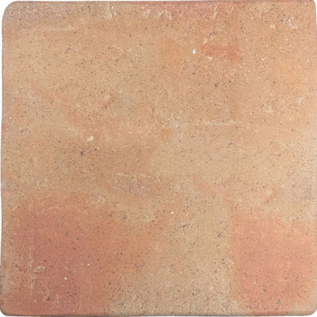 Керамогранит ROOTS L COTTO (128198) 22x22 от WOW (Испания)