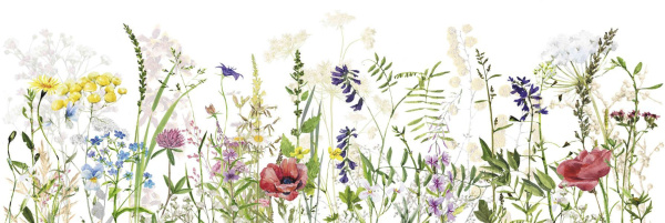 Вставка Flora bloom 20x60 от Creto (Россия)