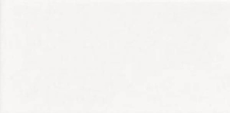 Настенная плитка BLANCO LISO BRILLO 10x20 от Mainzu (Испания)