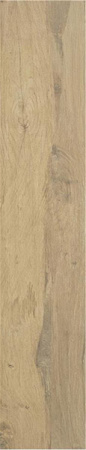 Керамогранит Dexter Roble 23x120 от STN Ceramica (Stylnul) (Испания)