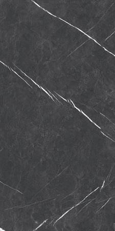 Керамогранит SILK Elenta Grey Matt 60x120 от Staro (Индия)