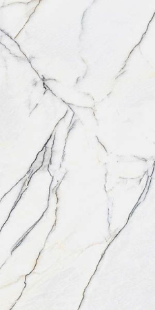 Керамогранит MARBLES Panda White Matt 60x120x5 от StaroSlim (Индия)