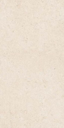 Керамогранит Eterna Blanco rett. (R8JK) 60x120 от Ragno (Италия)