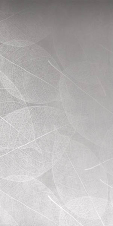 Керамогранит ELEGANZA Perla Arte Carving 60x120 от Infiniti (Индия)