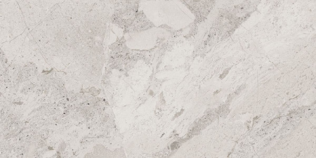 Керамогранит Karnis Silver Levigato (93537) 30x60 от Cerdomus (Италия)