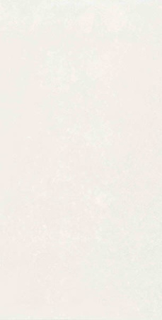 Настенная плитка Mon Hazy Garden 30x60 от Creto (Россия)