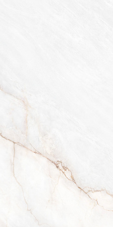 Керамогранит MUSEUM DAHLIA White EP 60x120 от Museum (Испания)