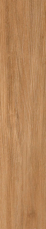 Керамогранит ALESSANDRIA CAMEL 19.5x120 от Prissmacer (Испания)