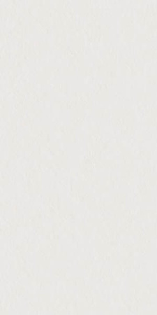 Керамогранит SUPERCLASSICA SCW Flamed (4101023) 60x120 от 41ZERO42 (Италия)