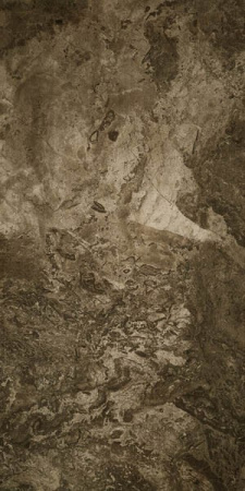 Керамогранит FOSSIL BROWN FULL LAPPATO 60x120 от Seranit (Турция)