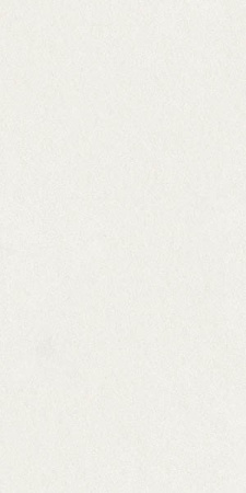 Керамогранит SUPERCLASSICA SCW Hammered (4101024) 60x120 от 41ZERO42 (Италия)