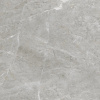 Керамогранит BALTIC GREY glossy (ETSTN1236GL6060) 60x60 от Eternal (Индия)